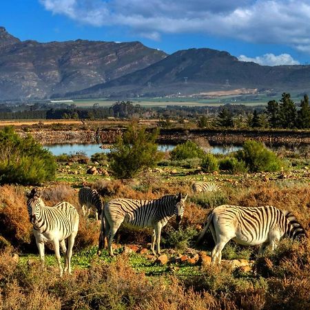 Welbedacht Game & Nature Reserve Tulbagh Kültér fotó