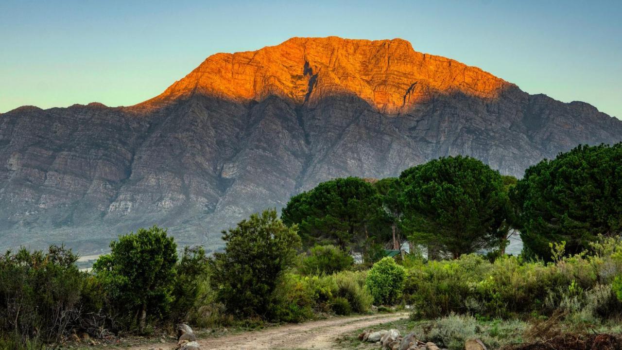 Welbedacht Game & Nature Reserve Tulbagh Kültér fotó