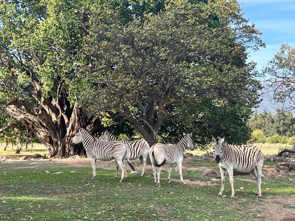 Welbedacht Game & Nature Reserve Tulbagh Kültér fotó