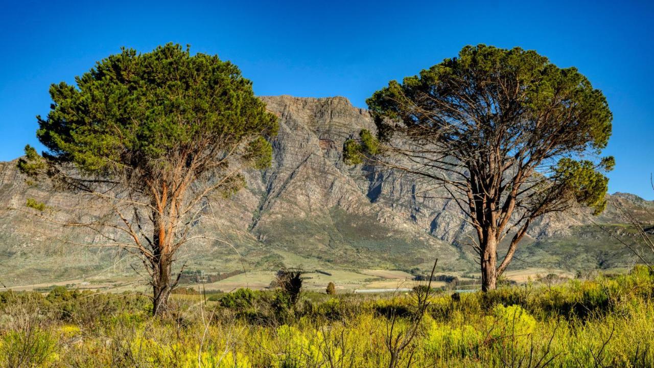Welbedacht Game & Nature Reserve Tulbagh Kültér fotó