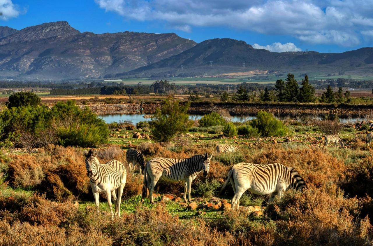 Welbedacht Game & Nature Reserve Tulbagh Kültér fotó