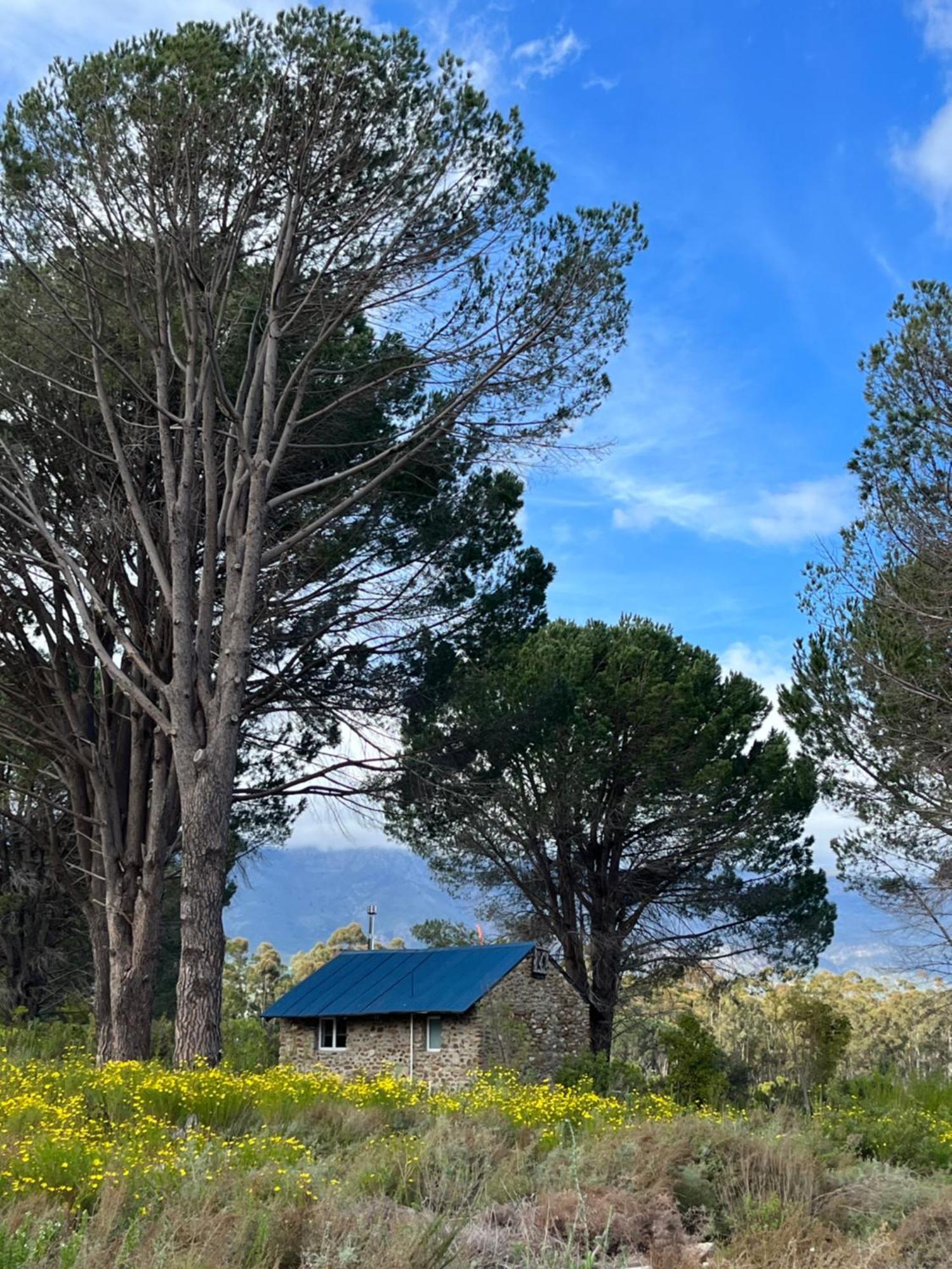 Welbedacht Game & Nature Reserve Tulbagh Kültér fotó